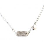 Ατσάλινη ταυτότητα λαιμού