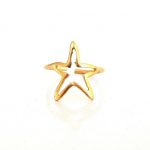 Δαχτυλίδι σε σχήμα αστερία