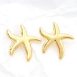 Ατσάλινα σκουλαρίκια αστερίας