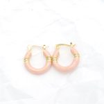 Ατσάλινα σκουλαρίκια κρικάκια Anemeli