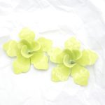 Σκουλαρίκια λουλούδια