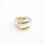 Ατσάλινο δαχτυλίδι χρυσό και ασημί